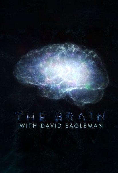 Мозг с Дэвидом Иглменом (2015)